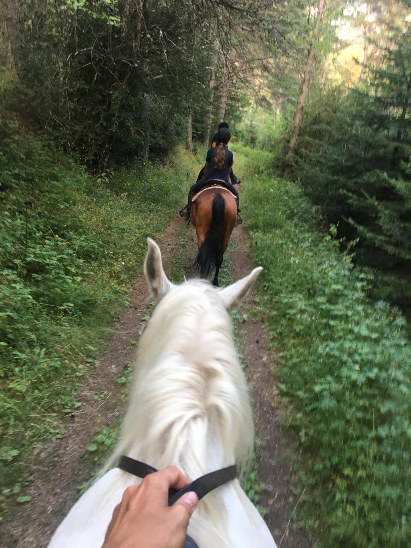 balade à cheval