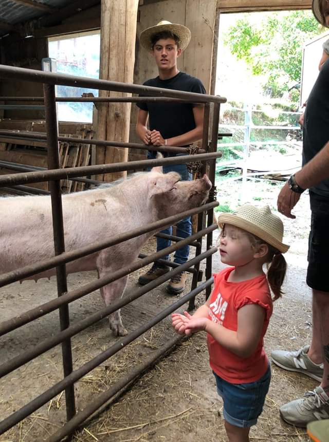 Visites de la ferme