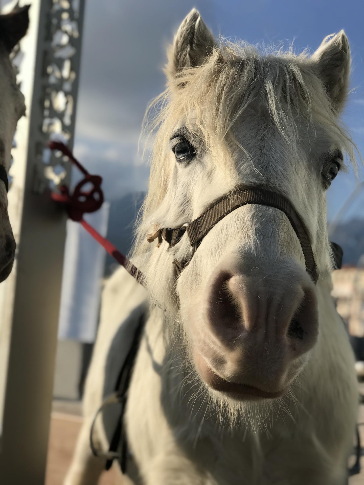 Aladin à Menton