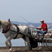 Cagxxq007 eo nettoyage plage a cheval slv convertimage