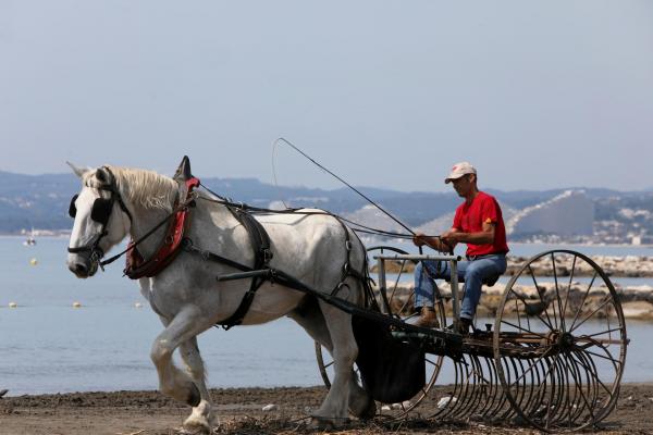 Cagxxq007 eo nettoyage plage a cheval slv convertimage